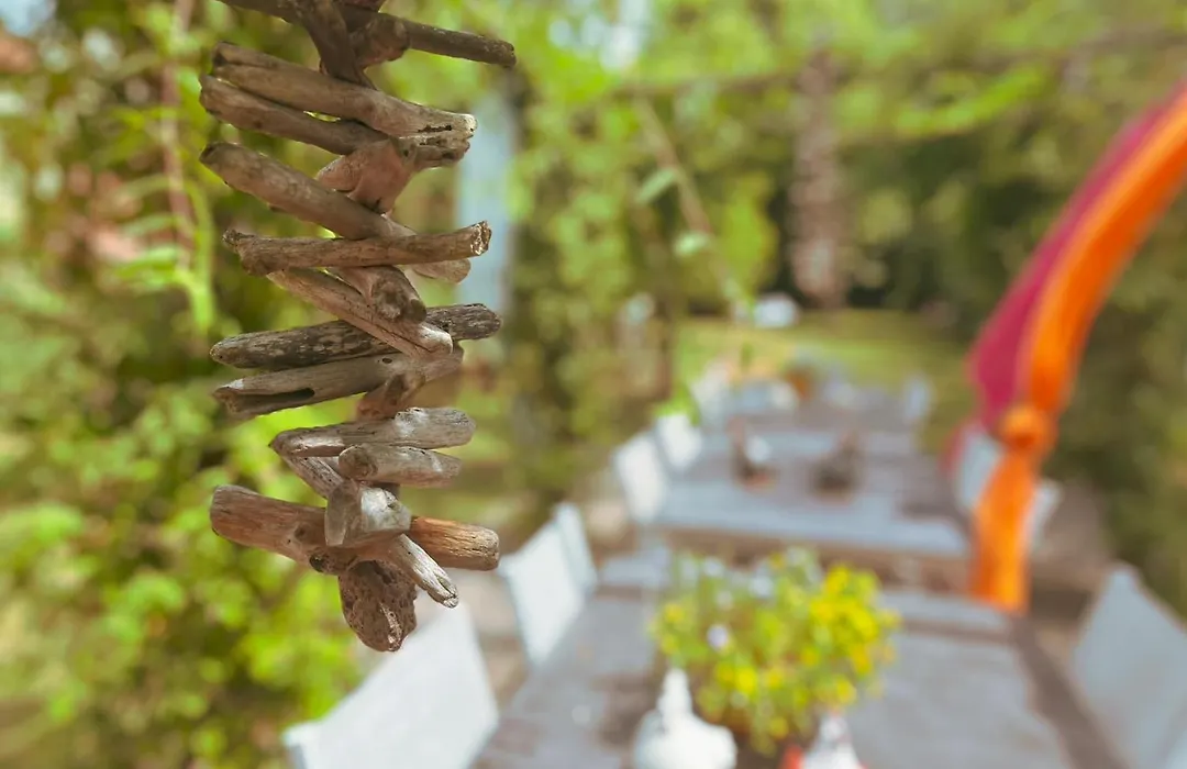 Le jardin des secrets-1